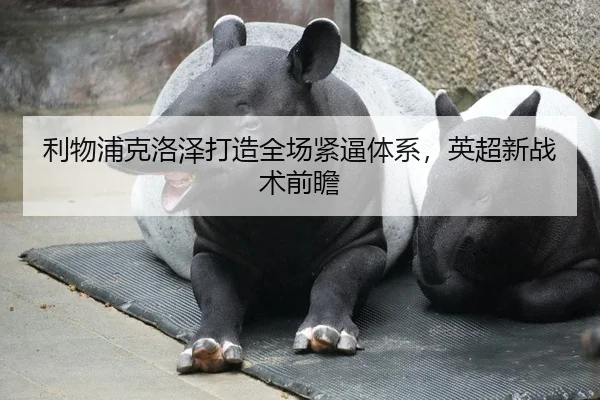 利物浦克洛泽打造全场紧逼体系，英超新战术前瞻