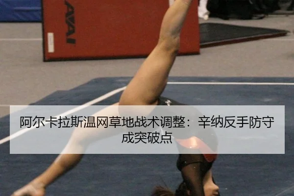 a-er-ka-la-si-wen-wang-cao-di-zhan-shu-tiao-zheng-xin-na-fan-shou-fang-shou-cheng-tu-po-dian-3-271.jpg
