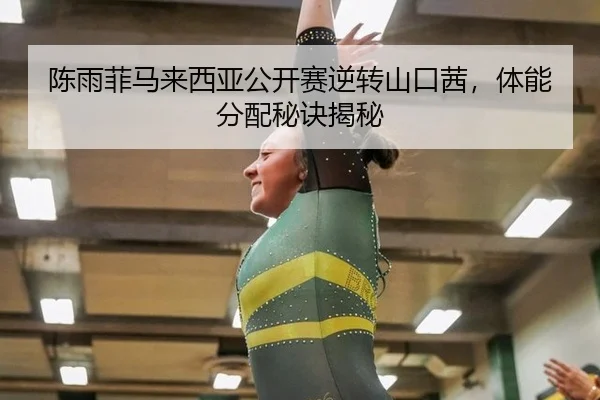 chen-yu-fei-ma-lai-xi-ya-gong-kai-sai-ni-zhuan-shan-kou-qian-ti-neng-fen-pei-mi-jue-jie-mi-2-911.jpg
