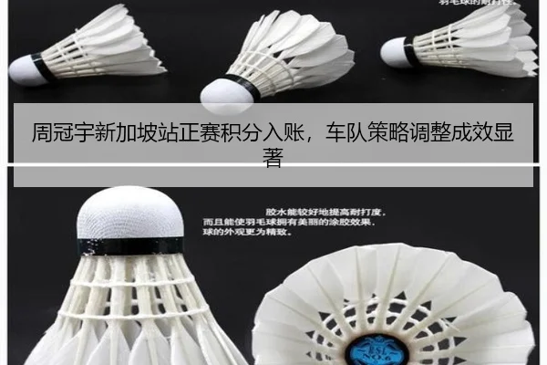周冠宇新加坡站正赛积分入账，车队策略调整成效显著